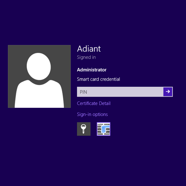 Windows 8
